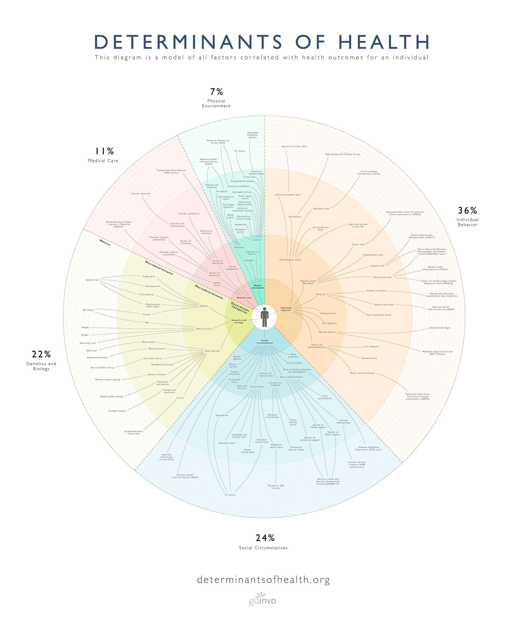 Determinants of Health visualization